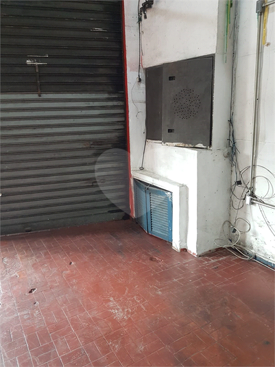 Foto REO1127351