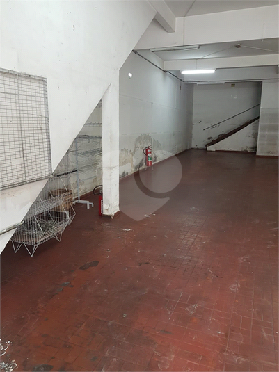 Foto REO1127351