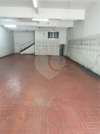 Foto REO1127351