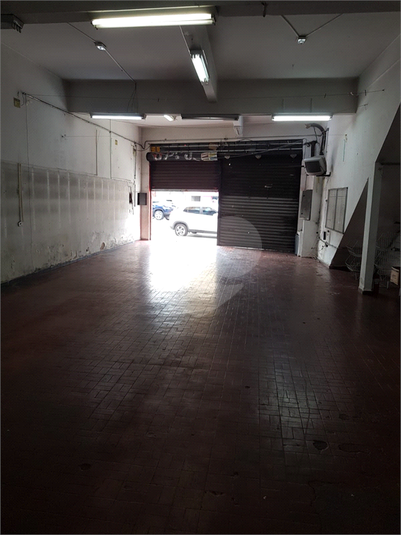 Foto REO1127351