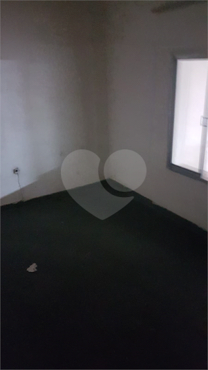 Foto REO1127351