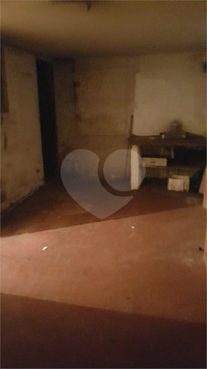 Foto REO1127351