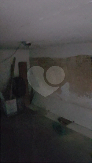 Foto REO1127351