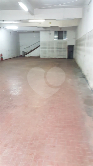 Foto REO1127351