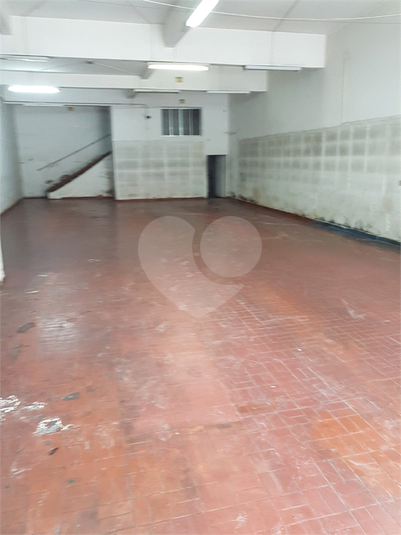 Foto REO1127351