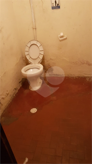 Foto REO1127351