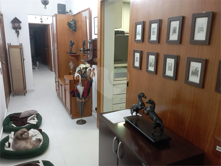Foto REO1127352