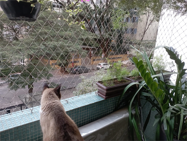 Foto REO1127352