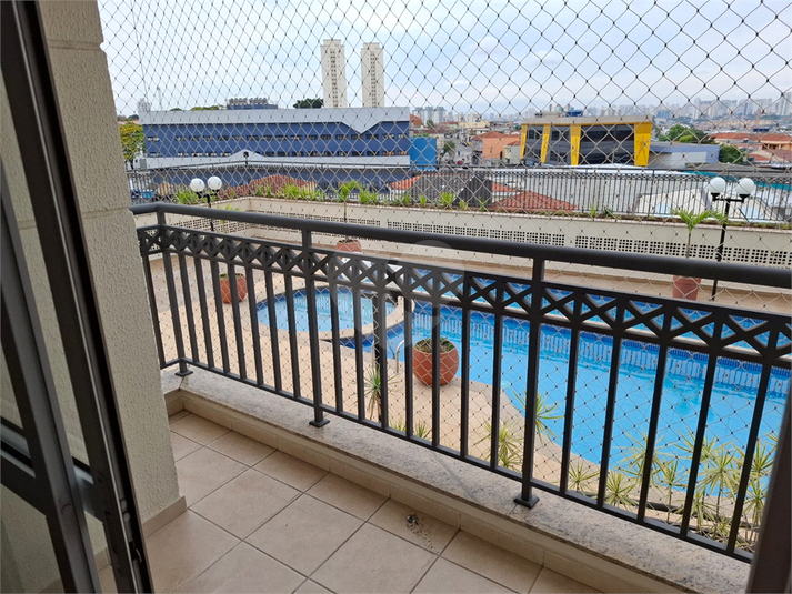 Foto REO1127353