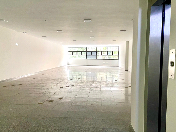Foto REO1127367