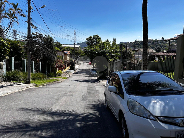 Foto REO1127368