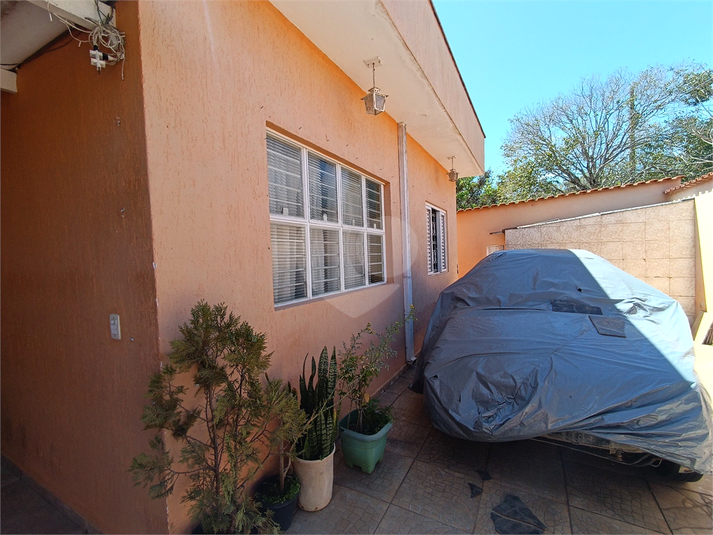 Foto REO1127371
