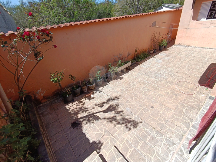 Foto REO1127371