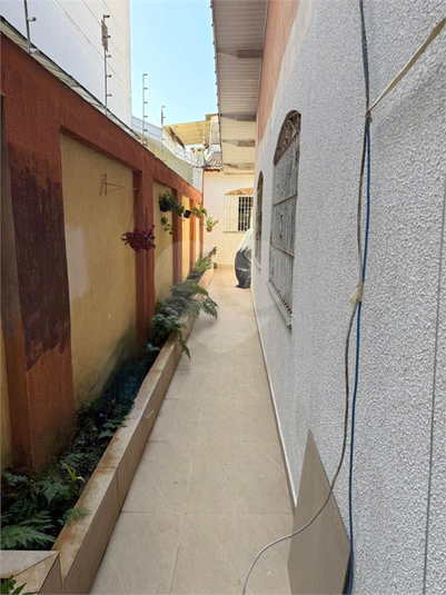 Foto REO1127374