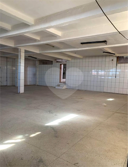 Foto REO1127389