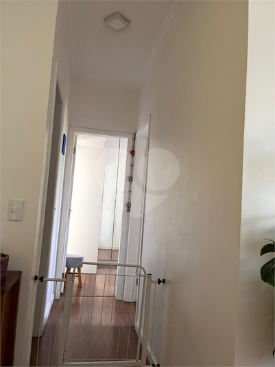 Foto REO1127394