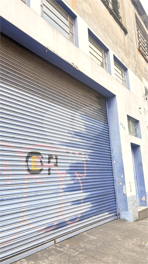 Foto REO1127397