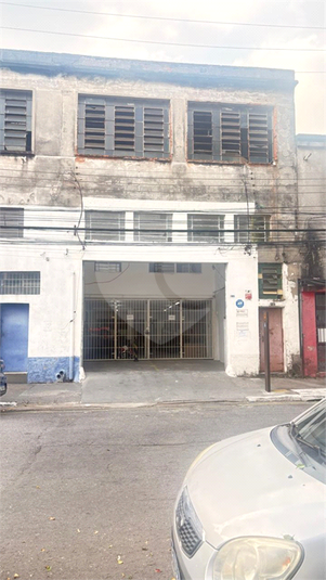 Foto REO1127397