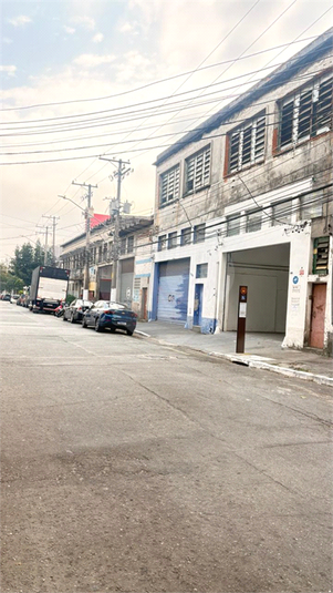 Foto REO1127397