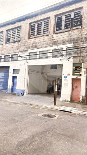 Foto REO1127397