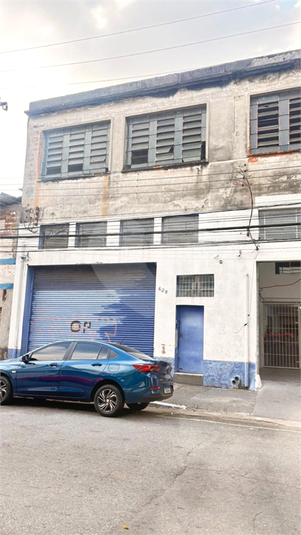 Foto REO1127397