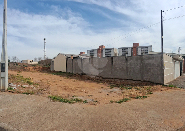 Foto REO1127431