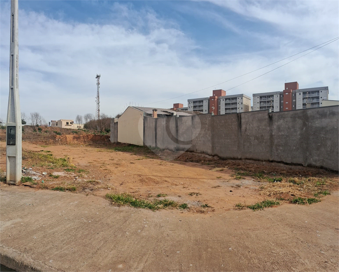 Foto REO1127431