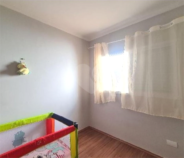 Foto REO1127437