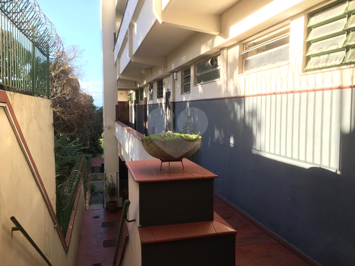 Foto REO1127464