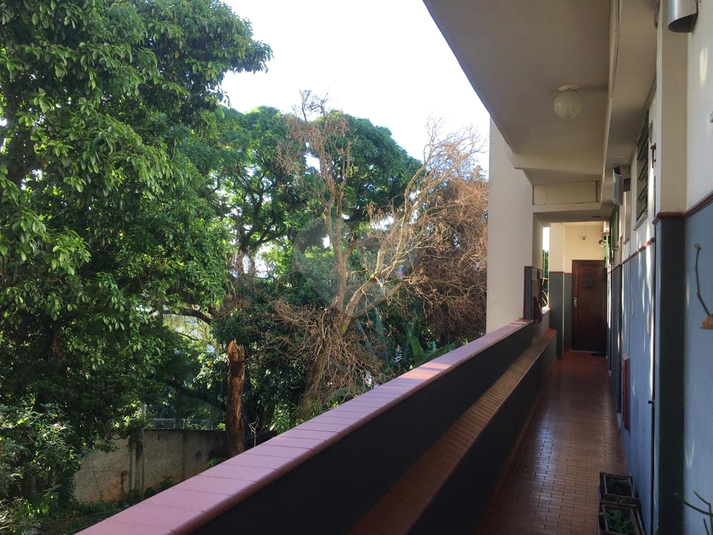 Foto REO1127464
