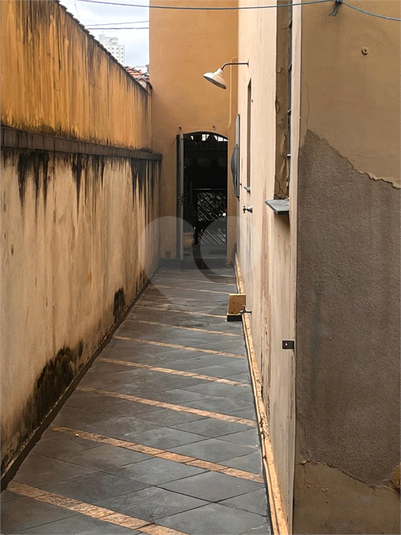 Foto REO1127465