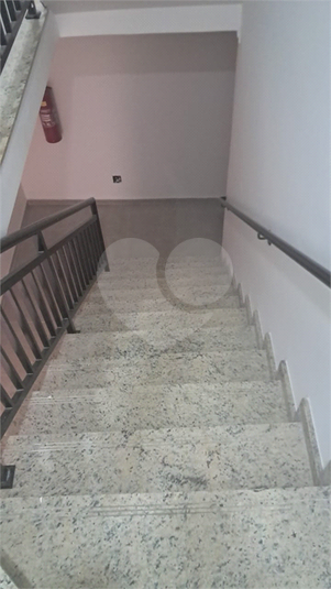 Foto REO1127466