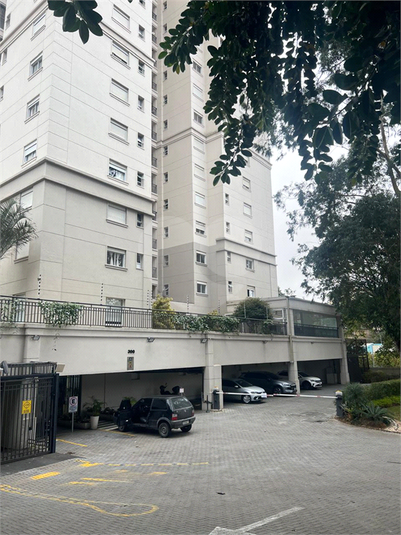 Foto REO1127467