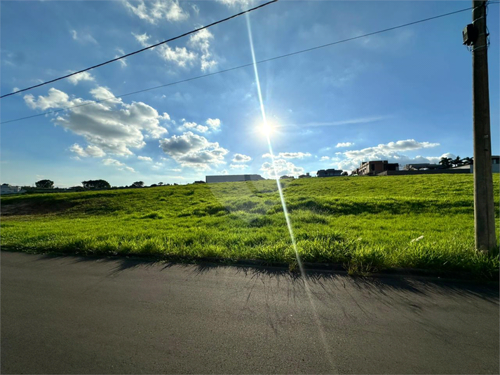 Foto REO1127474