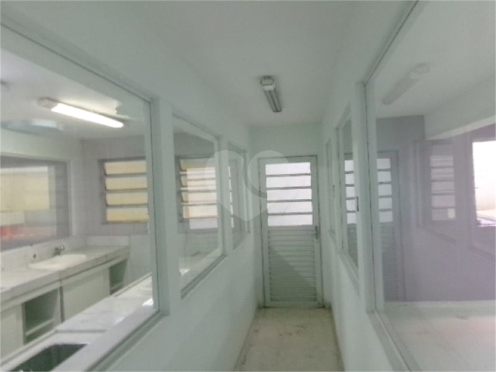 Foto REO1127477