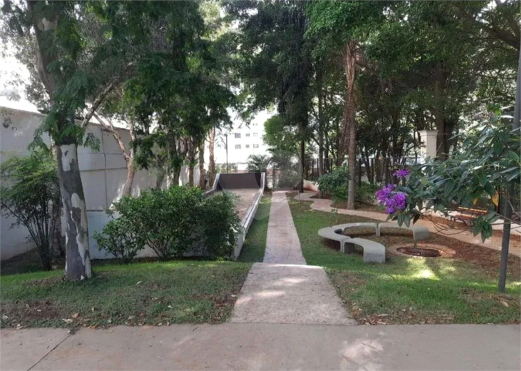 Foto REO1127484