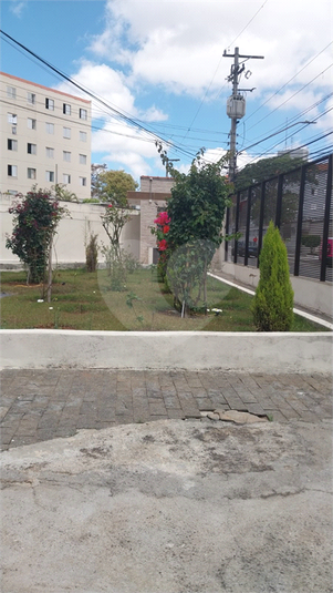 Foto REO1127490