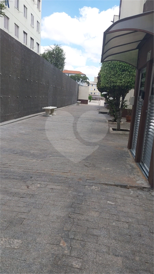 Foto REO1127490