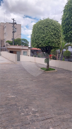 Foto REO1127490