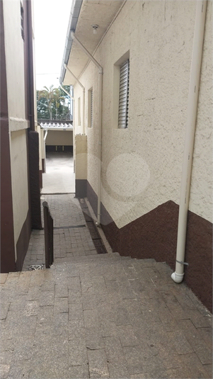 Foto REO1127490
