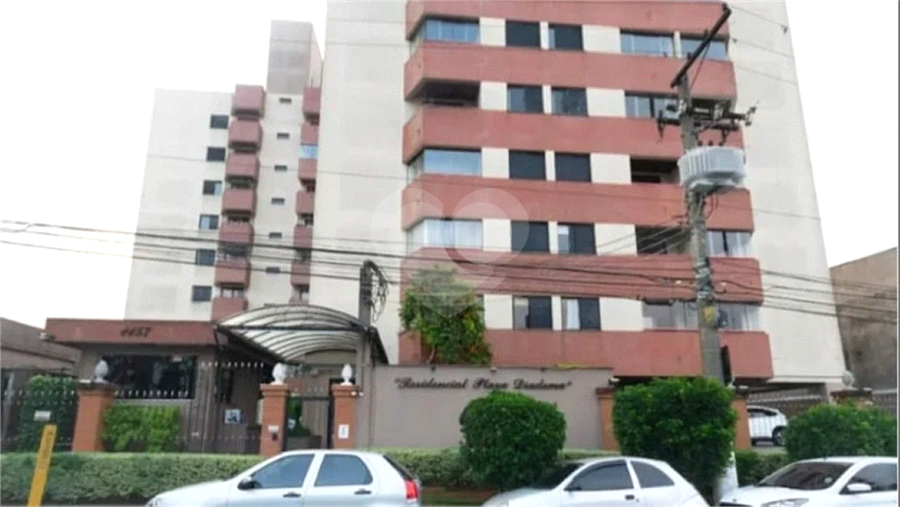 Foto REO1127502