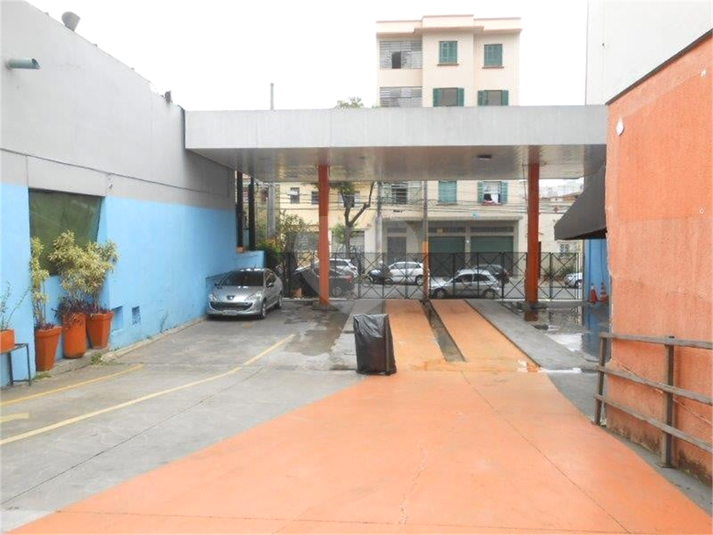Foto REO1127514