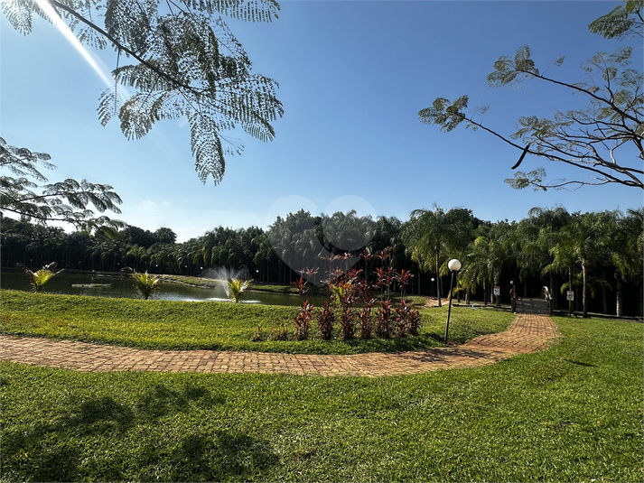 Foto REO1127522