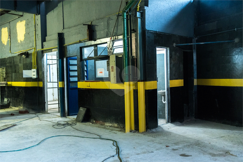 Foto REO1127525