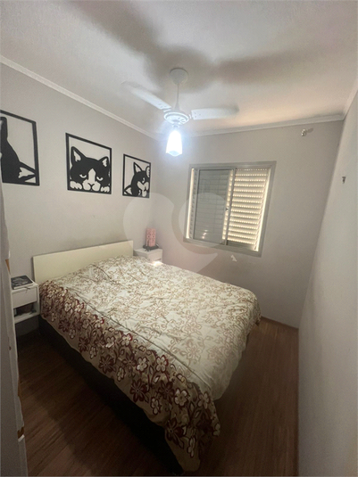 Foto REO1127558
