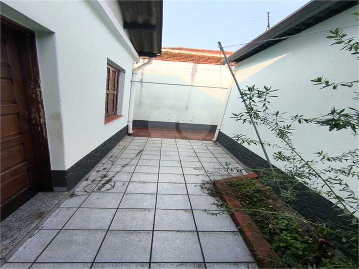 Foto REO1127563