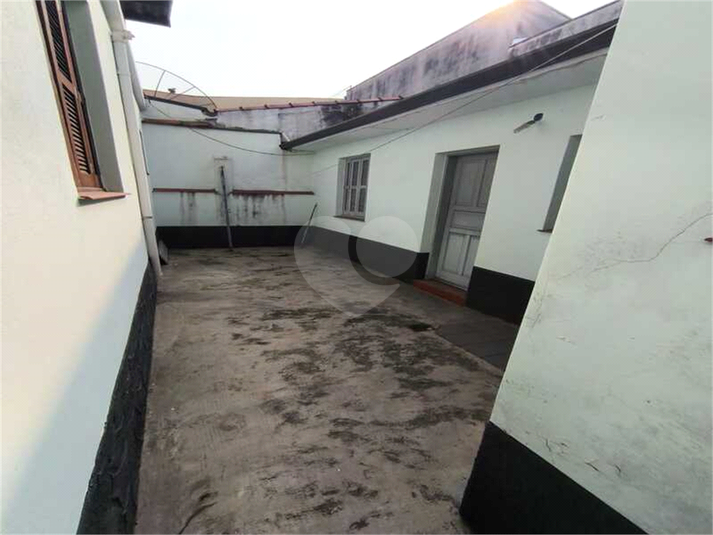 Foto REO1127563