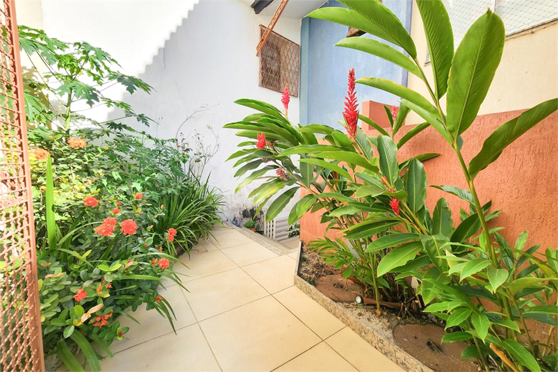 Foto REO1127566