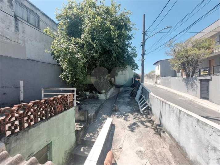 Foto REO1127574