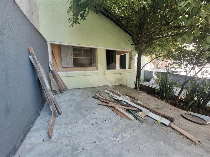 Foto REO1127574
